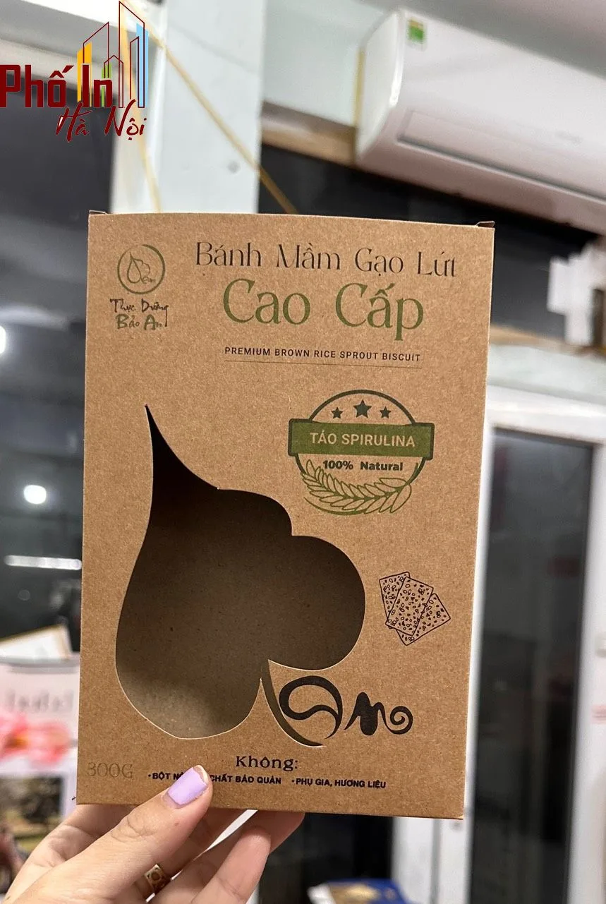 In nhanh Hà Nội - Xưởng in hộp giấy kraft giá rẻ tại Hà Nội