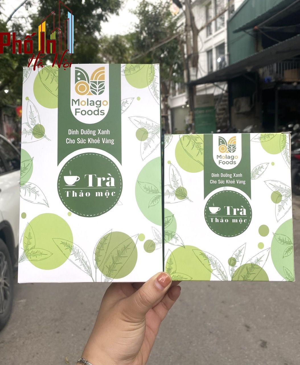 Xưởng In Hộp Giấy Đựng Trà Giá Rẻ Tại Hà Nội