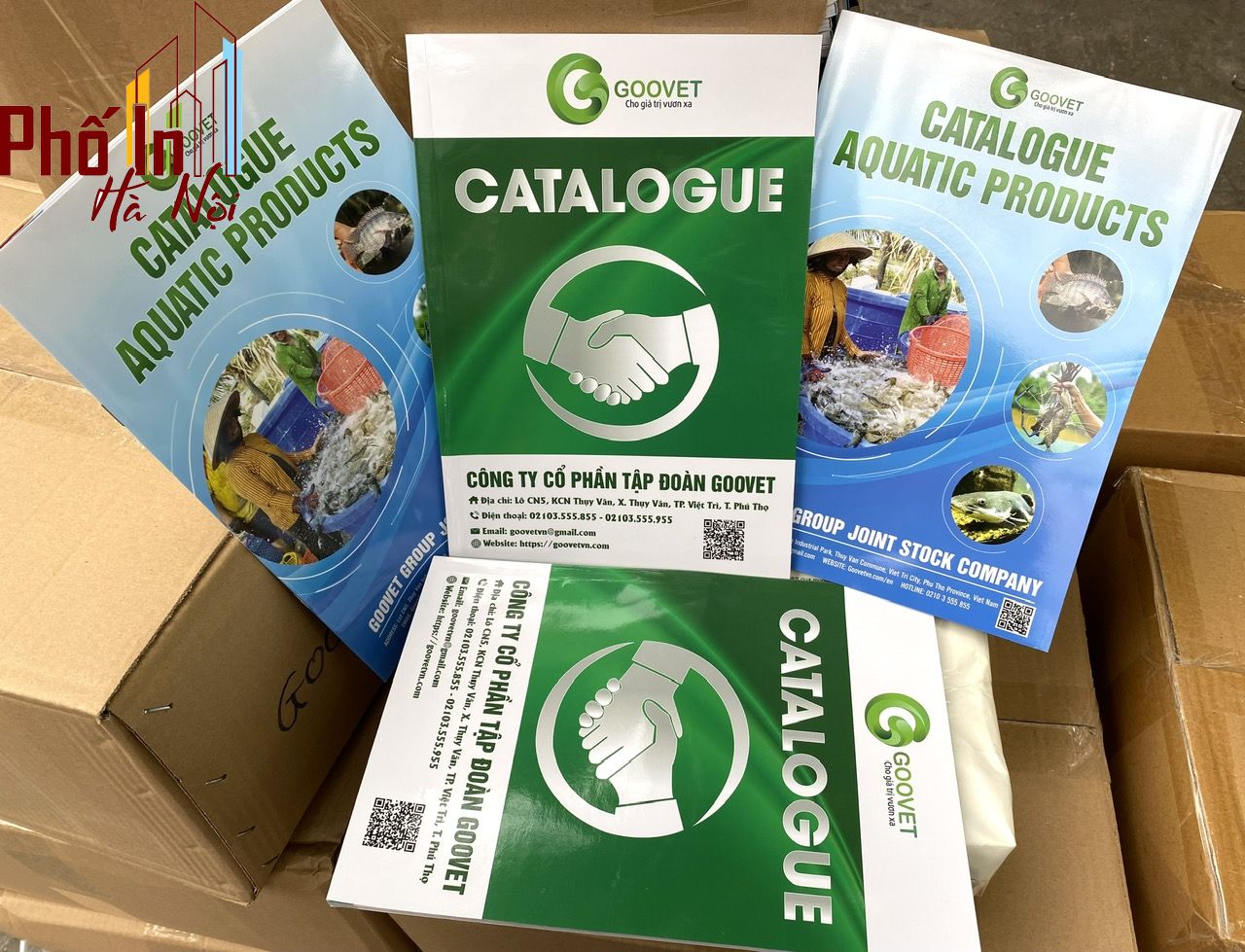 Phố in Hà Nội - In Catalogue giá rẻ tại Hà Nội Phố in Hà Nội - In Catalogue giá rẻ tại Hà Nội