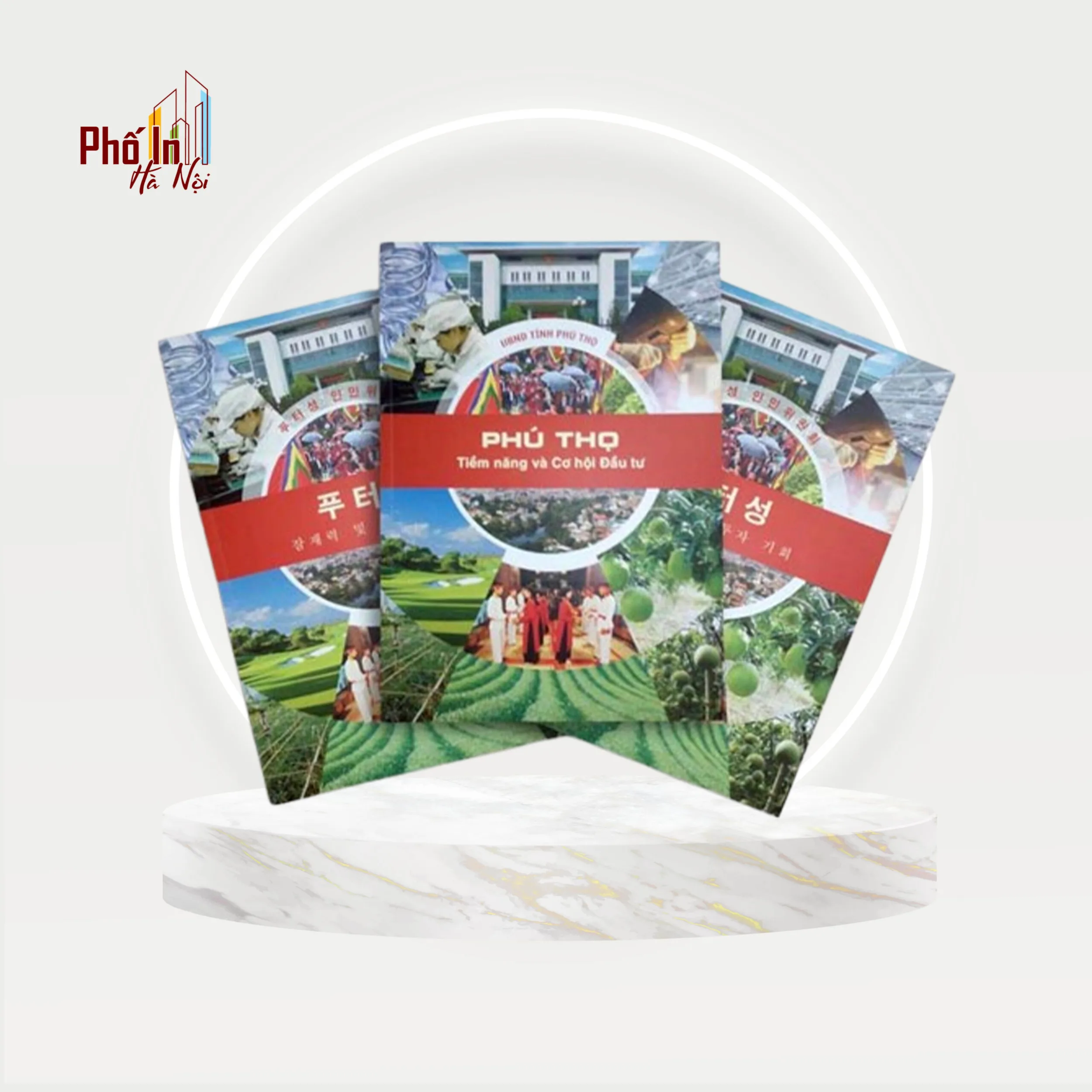 Báo Giá in catalogue số lượng ít giá rẻ lấy ngay tại Hà Nội